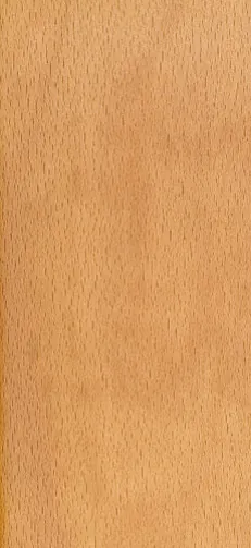 Materialfoto: Sperrholz — Buche